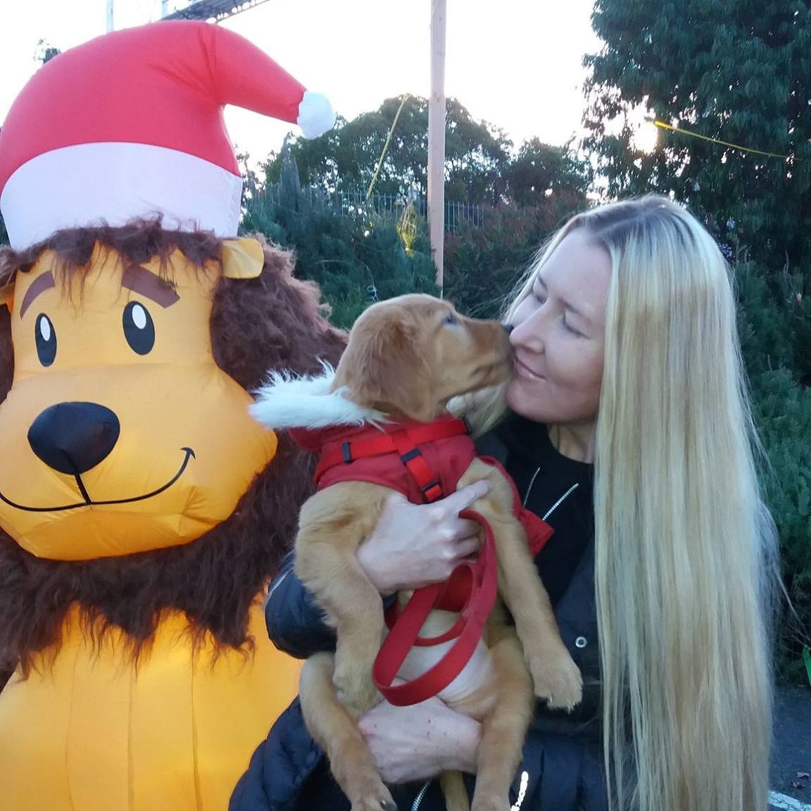 A person cuddling with a happy Golden Retriever.